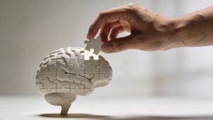 Brain Games vs. Puzzles: What Actually Improves Cognitive Skills?